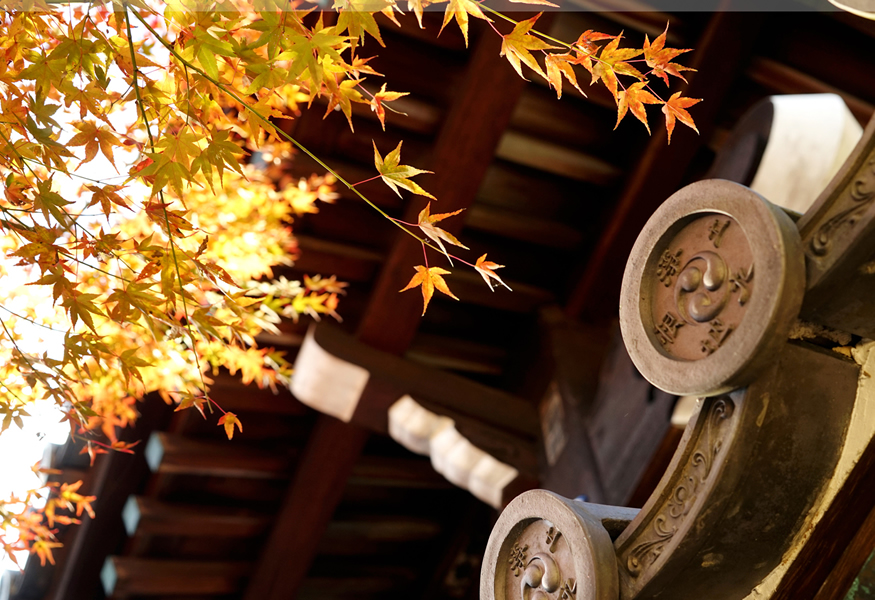 Kyoto Guangming Temple in Japan